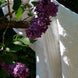 Brins de lilas violets accrochés à une branche, avec une couverture blanche en fond et des feuilles vertes.