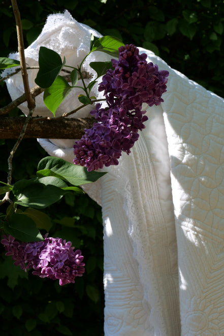 Brins de lilas violets accrochés à une branche, avec une couverture blanche en fond et des feuilles vertes.